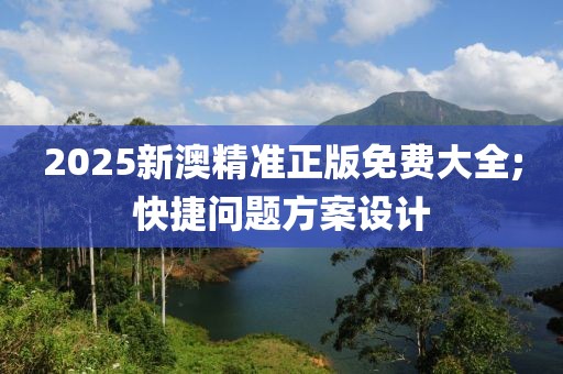 2025新澳精準正版免費大全;快捷問題方案設計