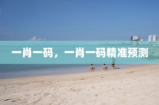一肖一碼，一肖一碼精準(zhǔn)預(yù)測(cè)