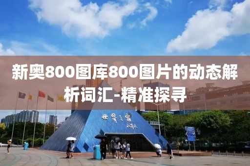 新奧800圖庫800圖片的動態(tài)解析詞匯-精準(zhǔn)探尋