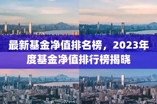 最新基金凈值排名榜，2023年度基金凈值排行榜揭曉