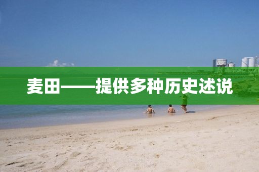 麥田——提供多種歷史述說