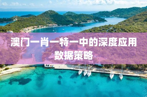 澳門一肖一特一中的深度應用數據策略
