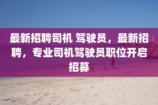 最新招聘司機(jī) 駕駛員，最新招聘，專業(yè)司機(jī)駕駛員職位開啟招募