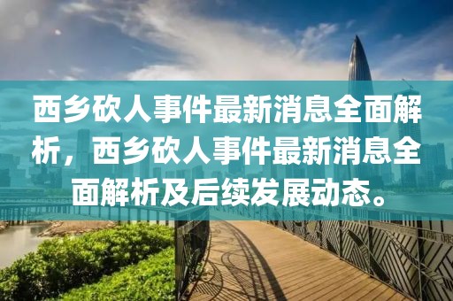 西鄉砍人事件最新消息全面解析，西鄉砍人事件最新消息全面解析及后續發展動態。