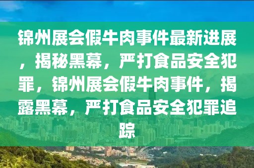 錦州展會假牛肉事件最新進展，揭秘黑幕，嚴打食品安全犯罪，錦州展會假牛肉事件，揭露黑幕，嚴打食品安全犯罪追蹤