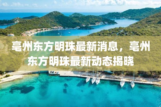 2025年3月8日 第45頁