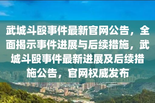 武城斗毆事件最新官網公告，全面揭示事件進展與后續措施，武城斗毆事件最新進展及后續措施公告，官網權威發布