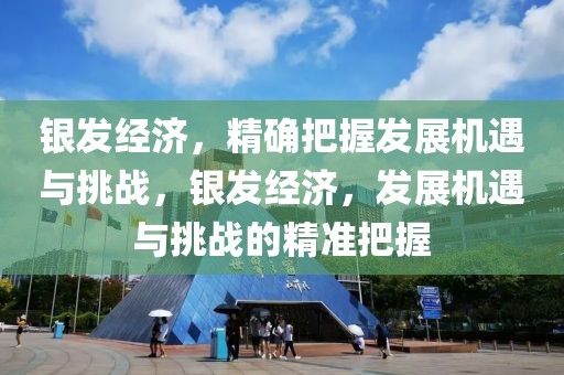 銀發經濟，精確把握發展機遇與挑戰，銀發經濟，發展機遇與挑戰的精準把握