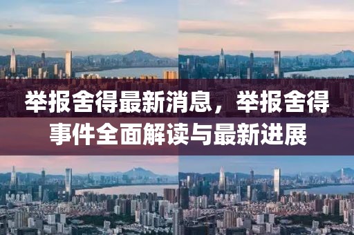 舉報舍得最新消息，舉報舍得事件全面解讀與最新進展