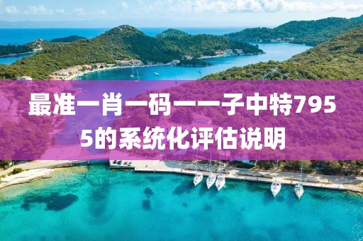 最準(zhǔn)一肖一碼一一子中特7955的系統(tǒng)化評估說明
