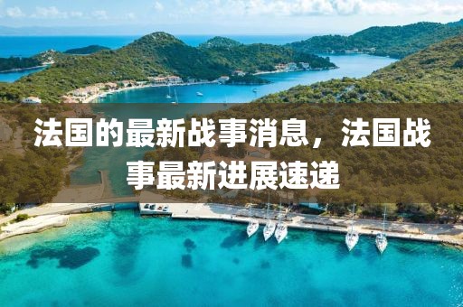 法國的最新戰事消息，法國戰事最新進展速遞