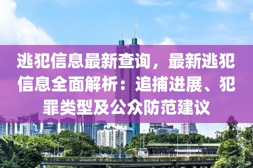 逃犯信息最新查詢，最新逃犯信息全面解析：追捕進展、犯罪類型及公眾防范建議