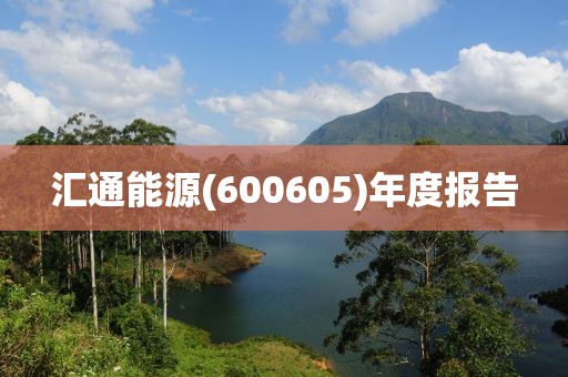 匯通能源(600605)年度報告