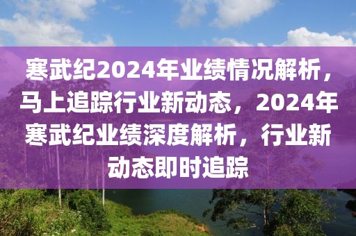 寒武紀2024年業績情況解析，馬上追蹤行業新動態，2024年寒武紀業績深度解析，行業新動態即時追蹤
