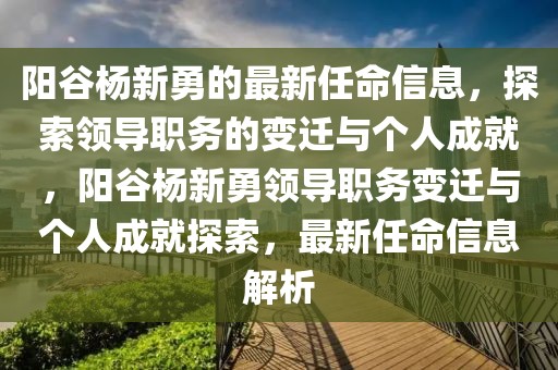 陽谷楊新勇的最新任命信息，探索領導職務的變遷與個人成就，陽谷楊新勇領導職務變遷與個人成就探索，最新任命信息解析