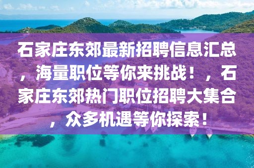 石家莊東郊最新招聘信息匯總，海量職位等你來挑戰！，石家莊東郊熱門職位招聘大集合，眾多機遇等你探索！