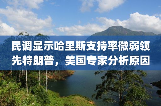 2025年4月10日 第13頁