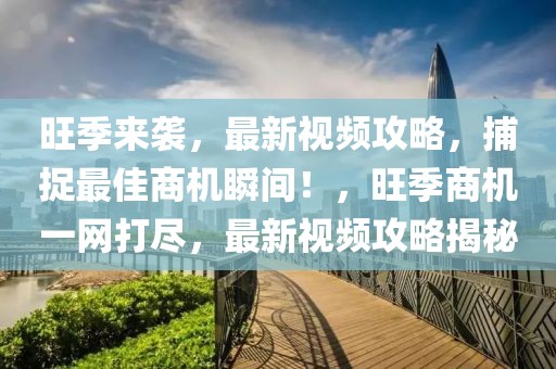 旺季來襲，最新視頻攻略，捕捉最佳商機瞬間！，旺季商機一網打盡，最新視頻攻略揭秘