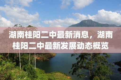 湖南桂陽二中最新消息，湖南桂陽二中最新發展動態概覽