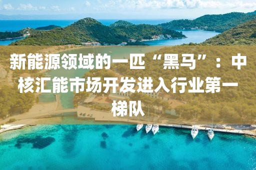 新能源領(lǐng)域的一匹“黑馬”：中核匯能市場(chǎng)開(kāi)發(fā)進(jìn)入行業(yè)第一梯隊(duì)