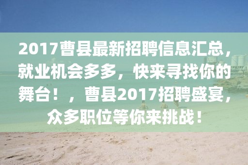2017曹縣最新招聘信息匯總，就業(yè)機會多多，快來尋找你的舞臺！，曹縣2017招聘盛宴，眾多職位等你來挑戰(zhàn)！