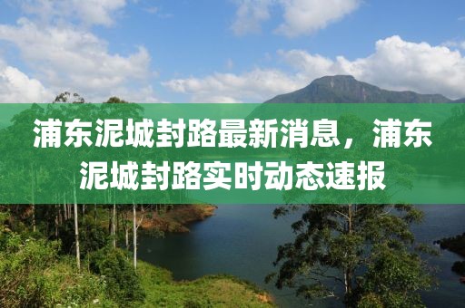 浦東泥城封路最新消息，浦東泥城封路實時動態速報