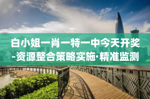 白小姐一肖一特一中今天開獎-資源整合策略實施·精準監測