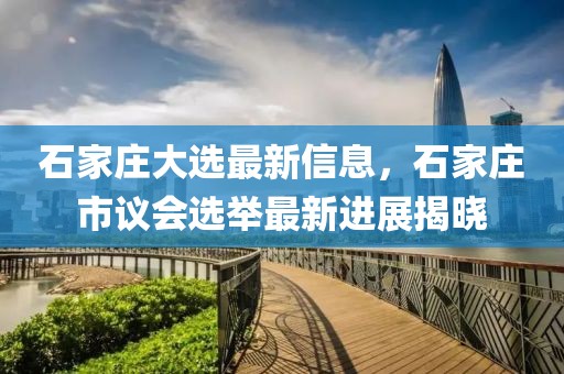 石家莊大選最新信息，石家莊市議會選舉最新進展揭曉