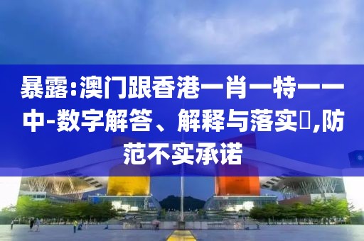 暴露:澳門跟香港一肖一特一一中-數字解答、解釋與落實?,防范不實承諾