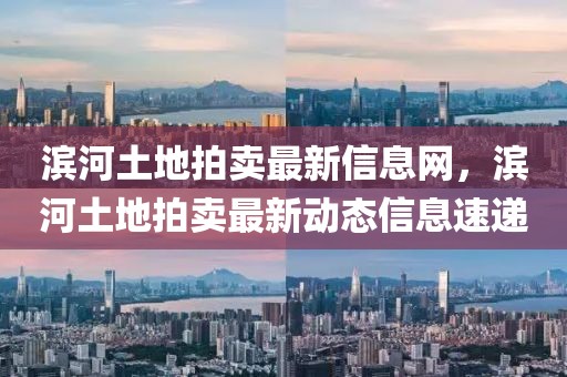 濱河土地拍賣最新信息網(wǎng)，濱河土地拍賣最新動態(tài)信息速遞