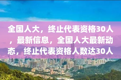 全國人大，終止代表資格30人，最新信息，全國人大最新動態，終止代表資格人數達30人