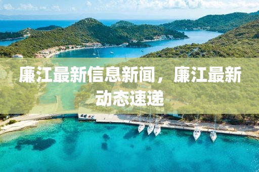 廉江最新信息新聞，廉江最新動態速遞