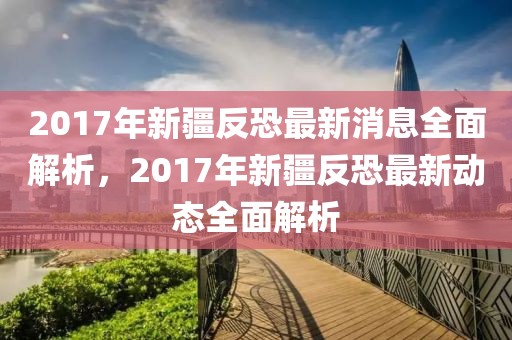 2017年新疆反恐最新消息全面解析，2017年新疆反恐最新動態(tài)全面解析