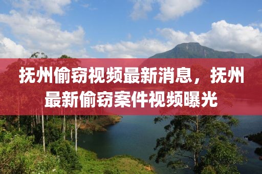 撫州偷竊視頻最新消息，撫州最新偷竊案件視頻曝光