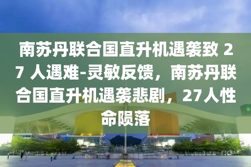 南蘇丹聯合國直升機遇襲致 27 人遇難-靈敏反饋，南蘇丹聯合國直升機遇襲悲劇，27人性命隕落