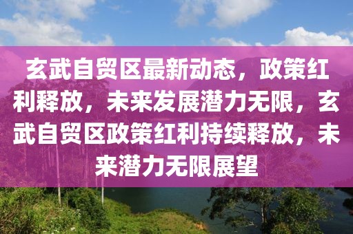 玄武自貿區最新動態，政策紅利釋放，未來發展潛力無限，玄武自貿區政策紅利持續釋放，未來潛力無限展望