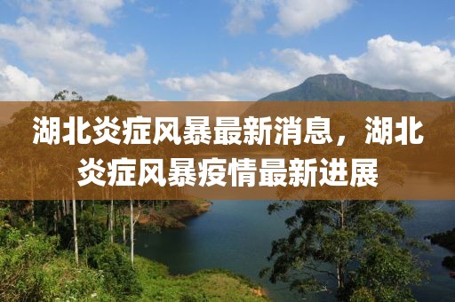 湖北炎癥風暴最新消息，湖北炎癥風暴疫情最新進展