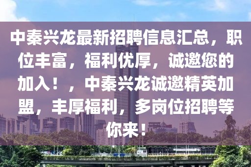 中秦興龍最新招聘信息匯總，職位豐富，福利優厚，誠邀您的加入！，中秦興龍誠邀精英加盟，豐厚福利，多崗位招聘等你來！