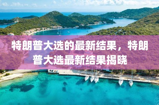 特朗普大選的最新結(jié)果，特朗普大選最新結(jié)果揭曉