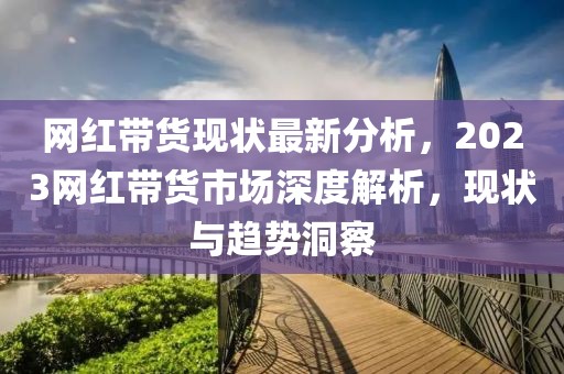 網紅帶貨現(xiàn)狀最新分析，2023網紅帶貨市場深度解析，現(xiàn)狀與趨勢洞察