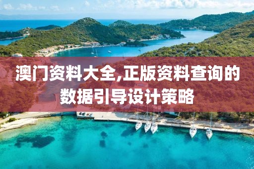 澳門資料大全,正版資料查詢的數據引導設計策略