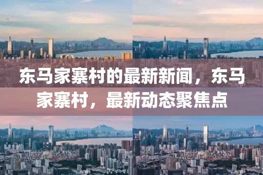 東馬家寨村的最新新聞，東馬家寨村，最新動態聚焦點