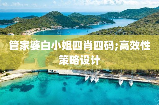 管家婆白小姐四肖四碼;高效性策略設(shè)計