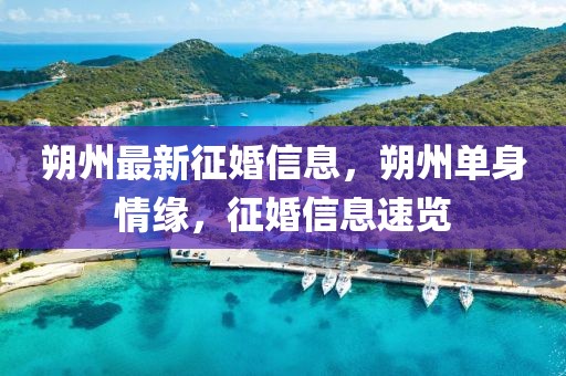 朔州最新征婚信息，朔州單身情緣，征婚信息速覽