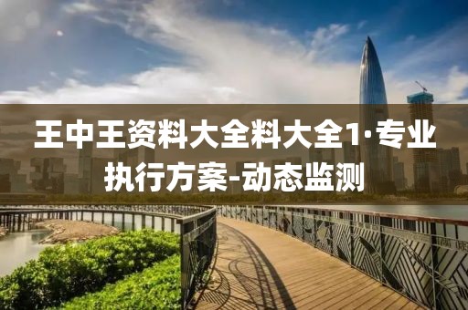 王中王資料大全料大全1·專業執行方案-動態監測