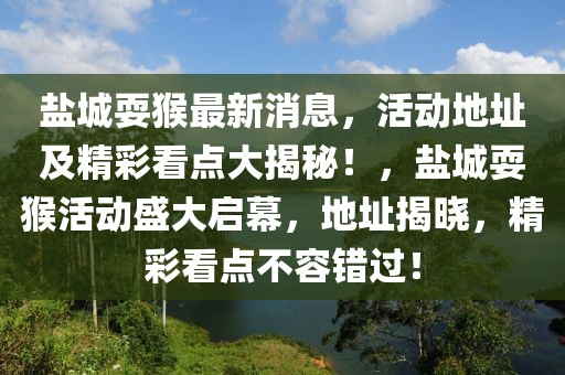 鹽城耍猴最新消息，活動(dòng)地址及精彩看點(diǎn)大揭秘！，鹽城耍猴活動(dòng)盛大啟幕，地址揭曉，精彩看點(diǎn)不容錯(cuò)過！