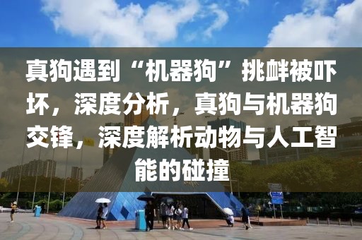 真狗遇到“機(jī)器狗”挑釁被嚇壞，深度分析，真狗與機(jī)器狗交鋒，深度解析動(dòng)物與人工智能的碰撞