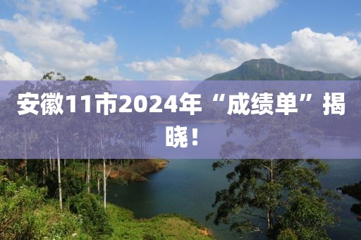 安徽11市2024年“成績單”揭曉！
