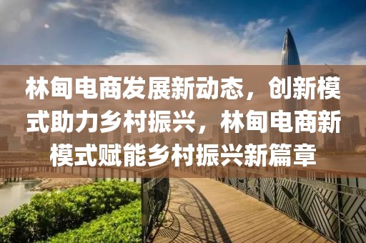 林甸電商發展新動態，創新模式助力鄉村振興，林甸電商新模式賦能鄉村振興新篇章