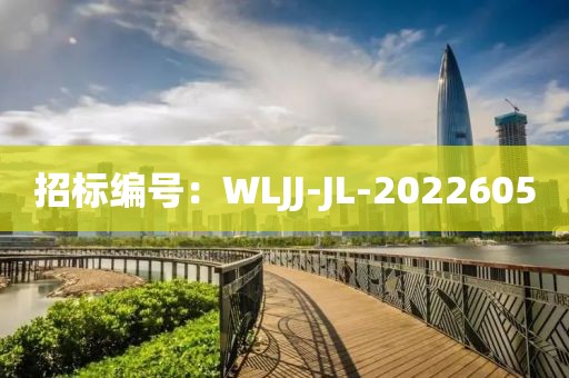 招標編號：WLJJ-JL-2022605